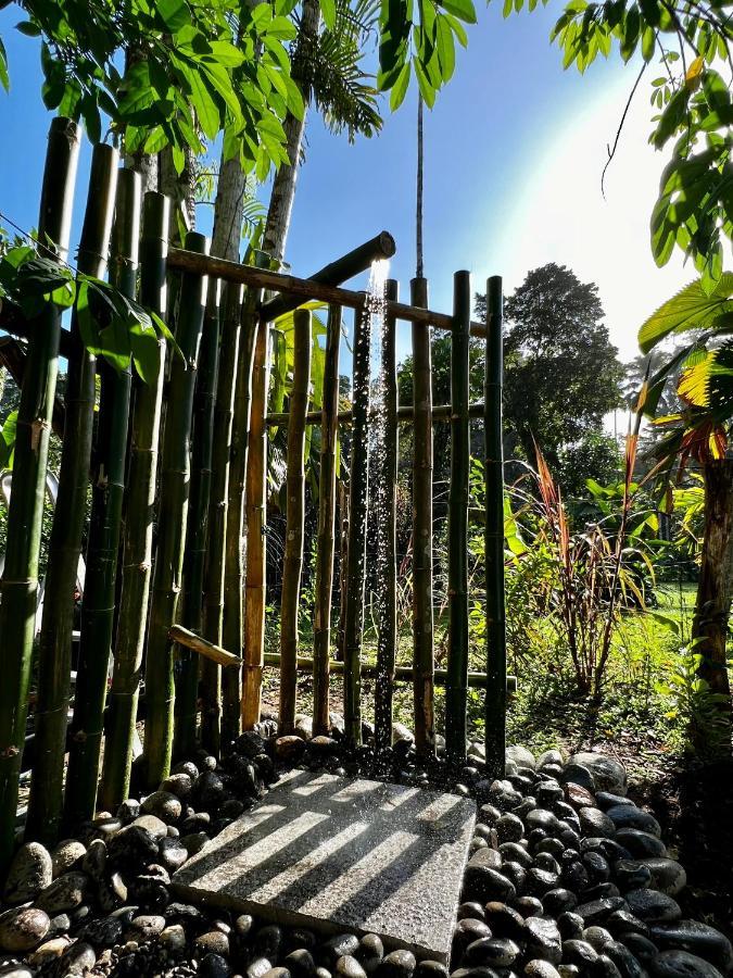 Whispering Wisdom Villa Cahuita Bagian luar foto