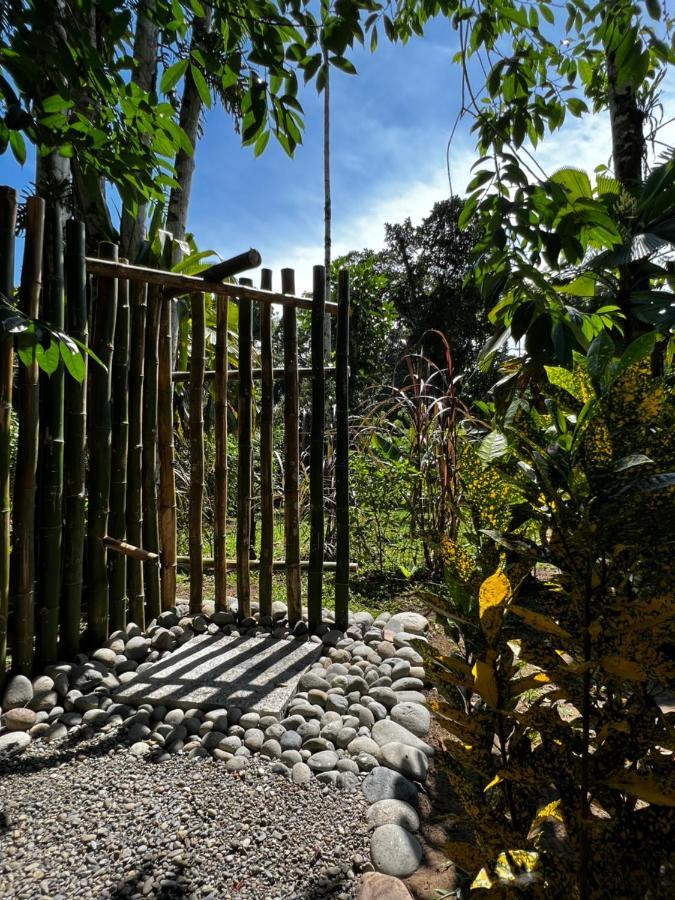 Whispering Wisdom Villa Cahuita Bagian luar foto